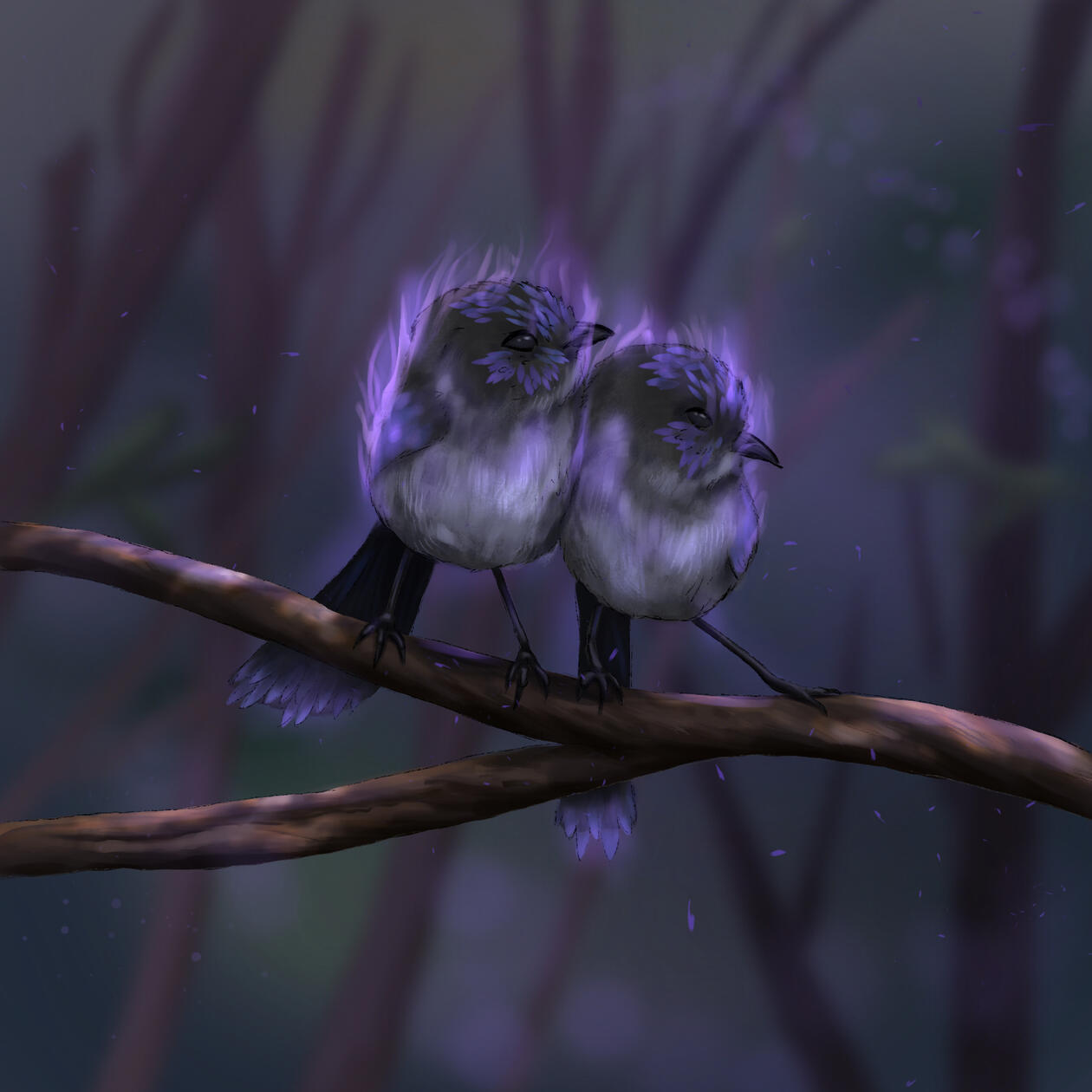 Personal project